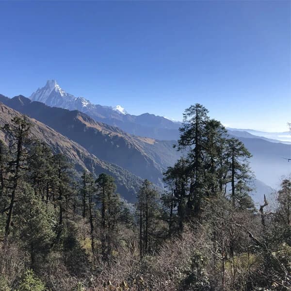 Khopra Ridge Annapurna Trek