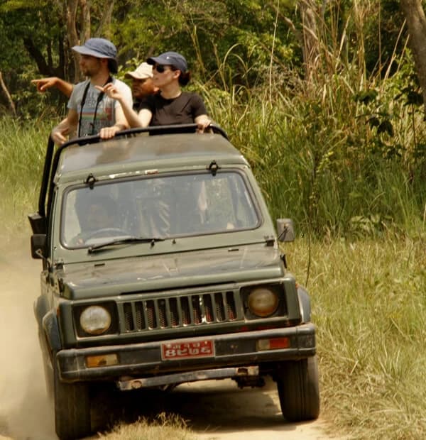 Chitwan National Park Jeep Safari