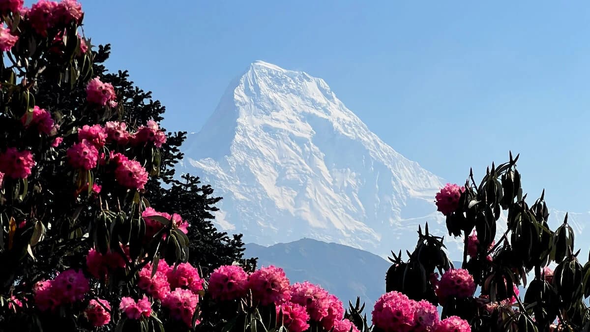 Annapurna Trekking View